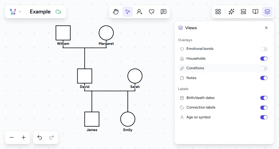 Genogram Pro Views panel showing toggle switches for Emotional bonds, Households, Conditions, Notes, and Labels overlays with the family tree structure visible