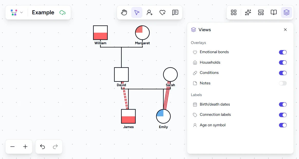 Genogram Pro Views panel open showing toggles for Emotional bonds, Households, Conditions, Notes, and Labels with notes hidden on the canvas