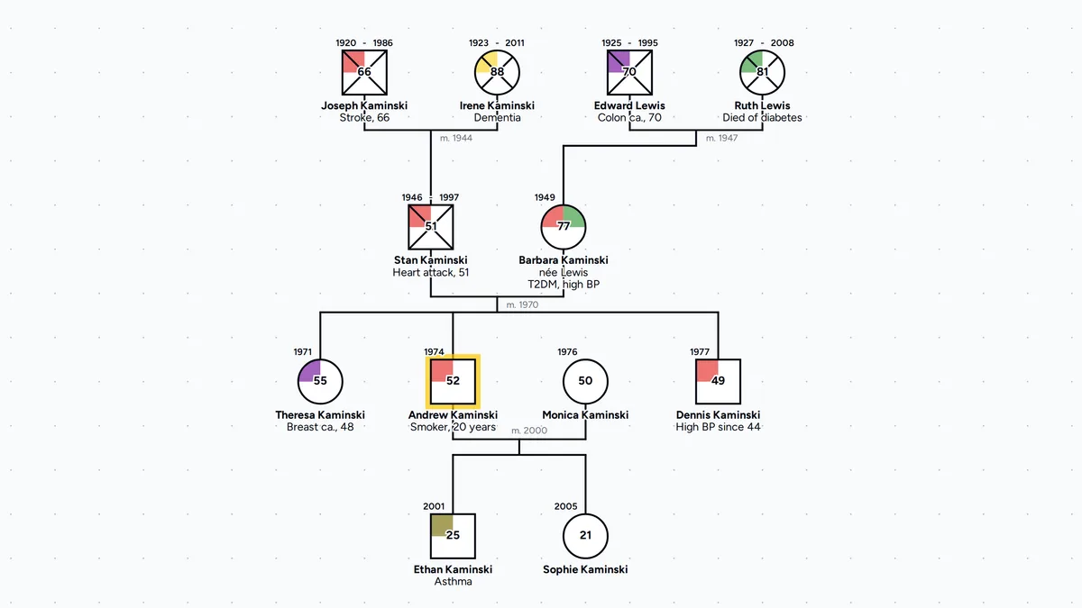 Nursing genogram of the Kaminski and Lewis families, with Andrew Kaminski as the focus person, his wife Monica and their children Ethan and Sophie, his parents Stan and Barbara, his siblings Theresa and Dennis, and his grandparents Joseph and Irene Kaminski and Edward and Ruth Lewis on four marriage lines, a red cardiovascular quadrant for Joseph, Stan, Barbara and Dennis and for Andrew's chest pain, green diabetes quadrants for Ruth and Barbara, purple cancer quadrants for Edward and Theresa, yellow for Irene's dementia, olive for Ethan's asthma, and a health note under each affected relative